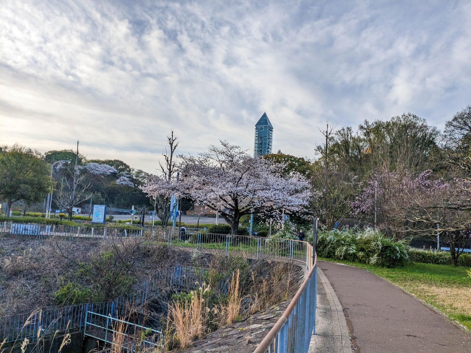 東山公園駅近くの散歩コース