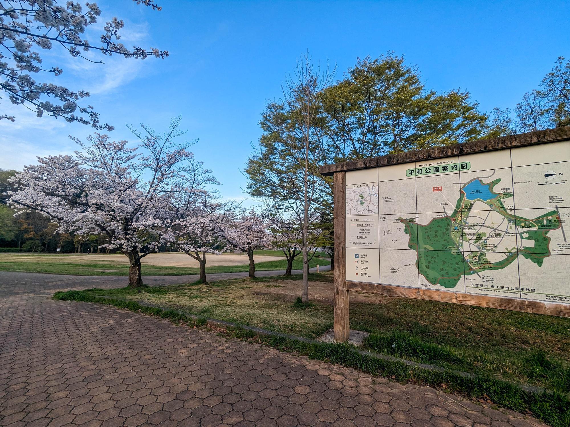 平和公園の広場