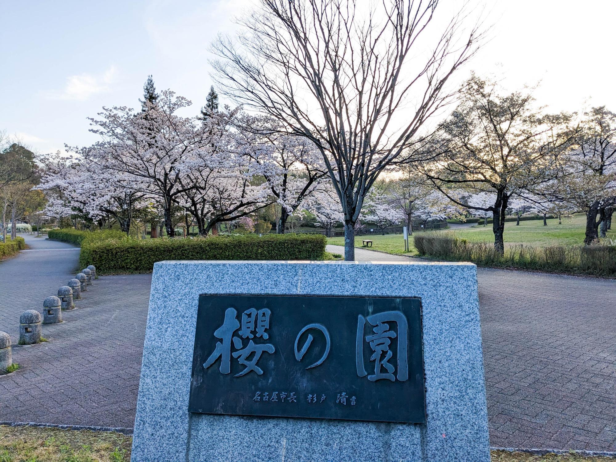 平和公園「桜の園」